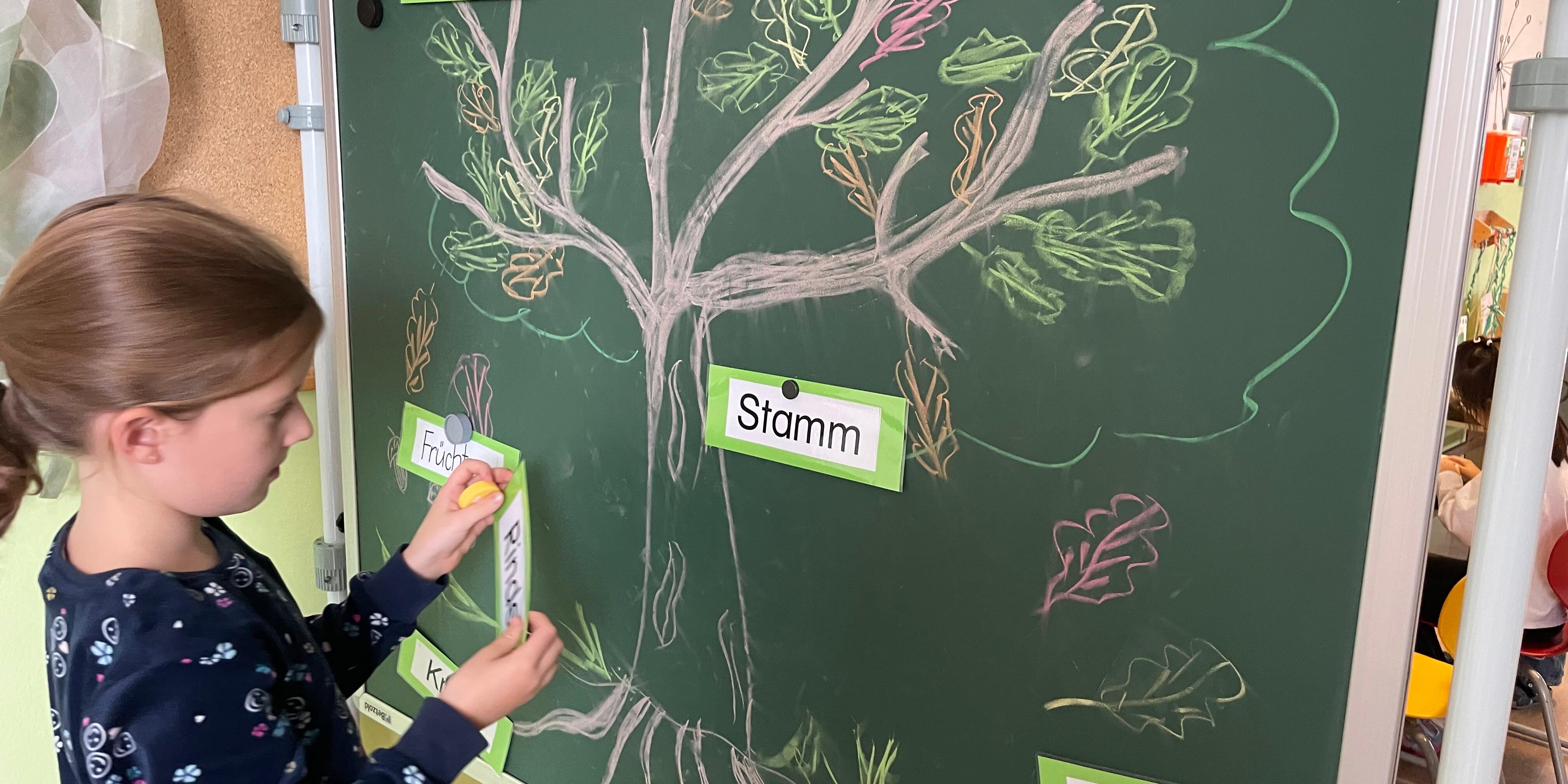 9b65d304-6318-48ac-b19c-11f9a7e7e253